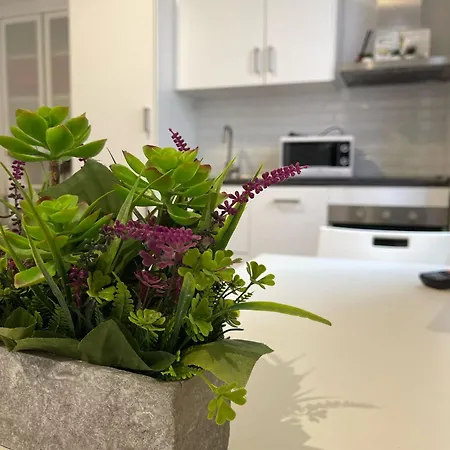 Apartamento Casa Macalle - - Taormina Letojanni